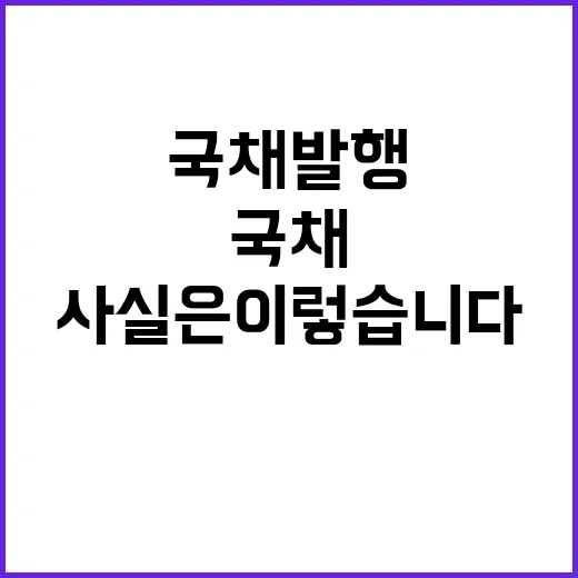 국채 발행 시기 기재부의 사실은 이렇습니다!