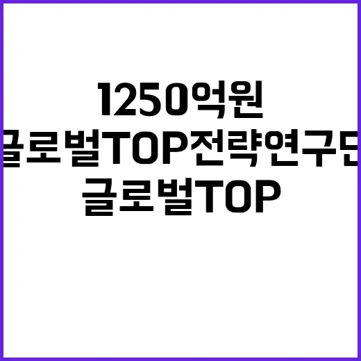 글로벌 TOP 전략연구단 1250억 원 지원 예정이다!