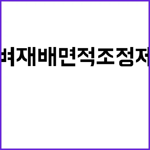 벼 재배면적 조정제 쌀 시장 안정 위한 대책!