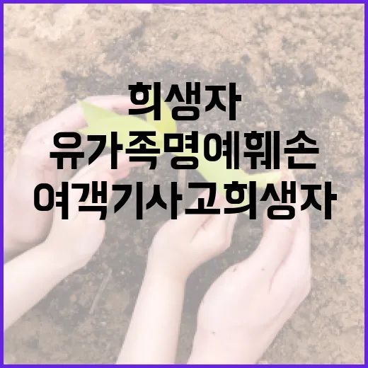 여객기 사고 희생자 유가족 명예 훼손 경고!