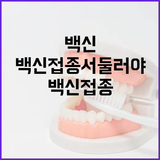 인플루엔자 최고치 기록 백신 접종 서둘러야!