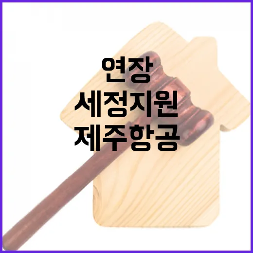 국세 납기 연장 제주항공 피해자에게 세정 지원!