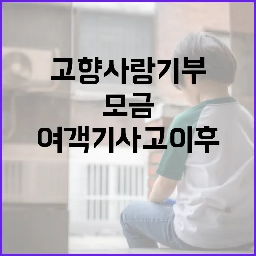 고향사랑기부 11억…