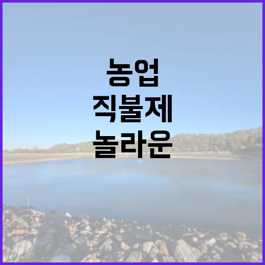 농업직불제 다양한 …