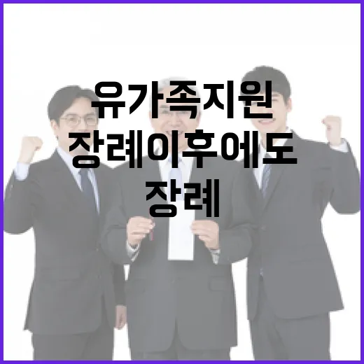 유가족 지원 장례 …