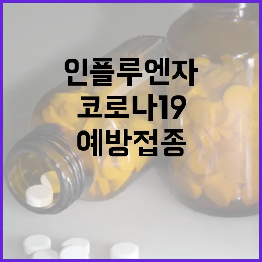 인플루엔자 증가 코…