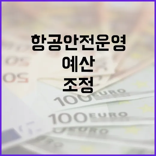 국토부 항공안전운영…