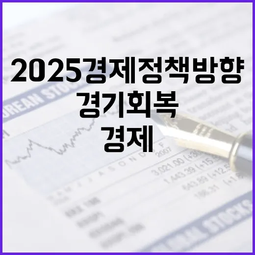 2025 경제정책방…