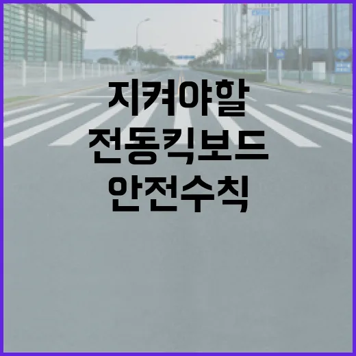 전동킥보드 안전 수…