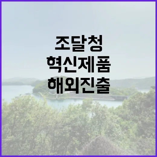 조달청 혁신제품 해외 진출 지원 서비스 공개!