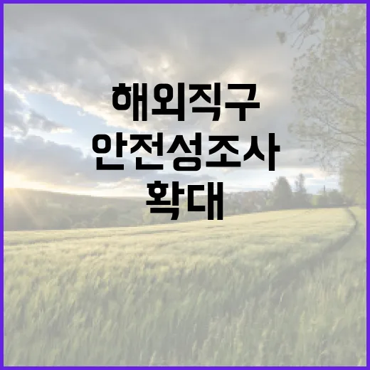 안전성 조사 해외직구 제품 1000여 개로 확대!