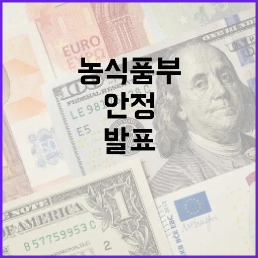 꽃 가격 안정 농식품부의 올해 초 발표!