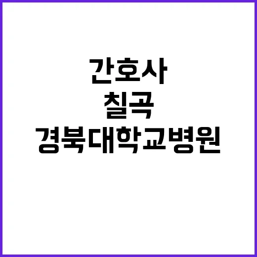 경북대학교병원 비정…