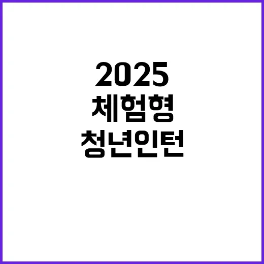 2025년 제3차 청년인턴 채용 공고