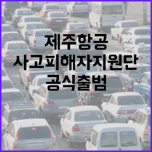 제주항공 사고 피해…