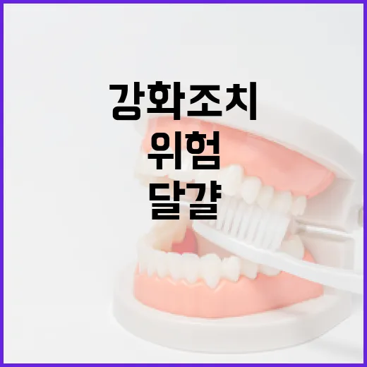 살모넬라 위험 달걀 검사 강화 조치 발표!