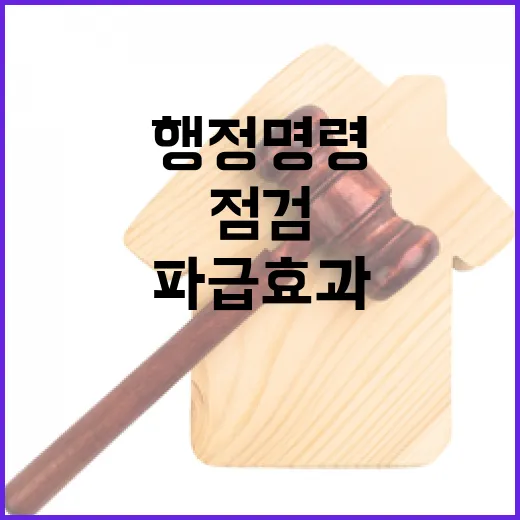 행정명령 점검 파급효과 큰 사안 집중 조명!