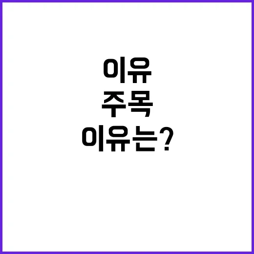 K-고추장, 미국 ‘Tasting Table’ 주목한 이유는?