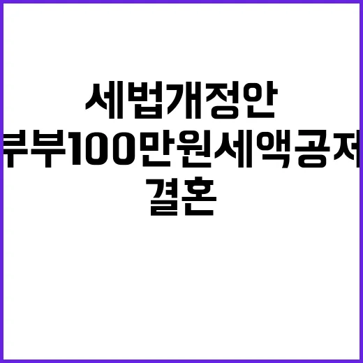 세법 개정안, 결혼 부부 100만 원 세액공제!