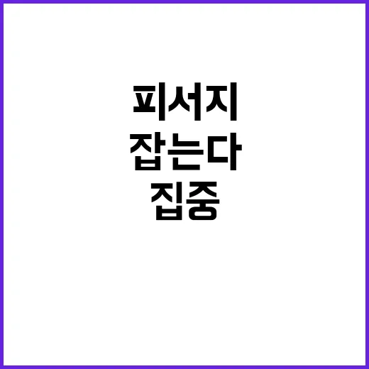 피서지 집중 단속,…