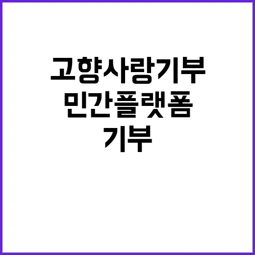 고향사랑기부, 민간…