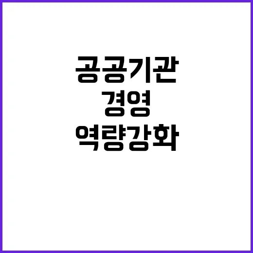 자율 경영, 공공기…