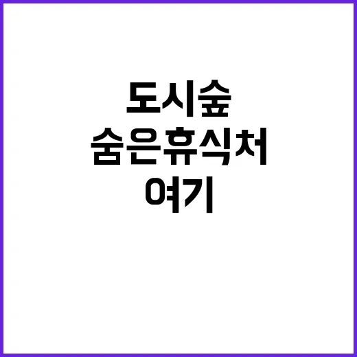 도시숲 도심 속 숨…