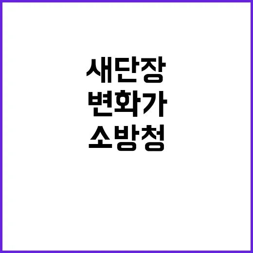 영웅이 새 단장, …