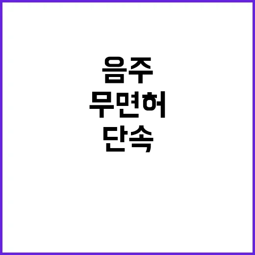 음주·무면허 집중 …