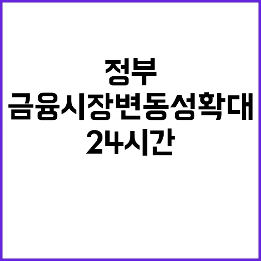 금융시장 변동성 확대, 정부의 24시간 대응 체계!