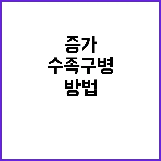 수족구병, 증가 이…