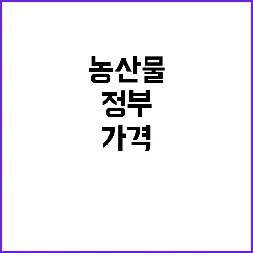 농산물 가격 폭등, 정부의 반박이 충격적이다!