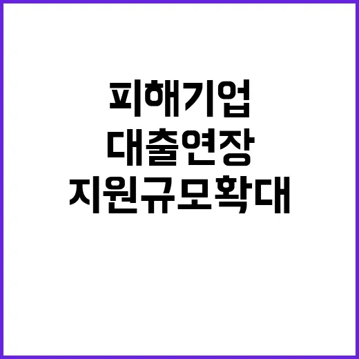 대출연장, 피해기업…