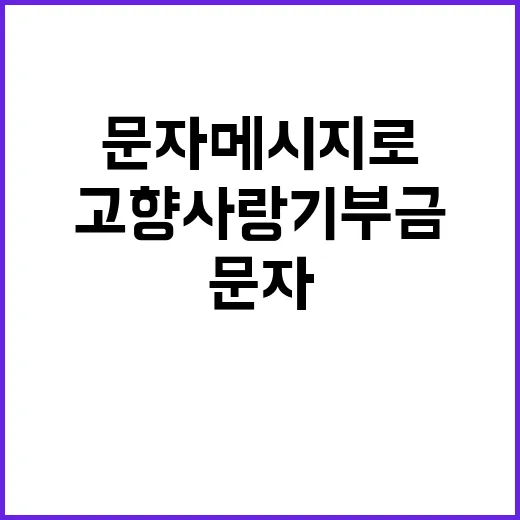 고향사랑기부금, 문…