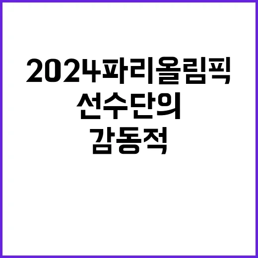 2024 파리올림픽 우리 선수단의 감동적 순간!