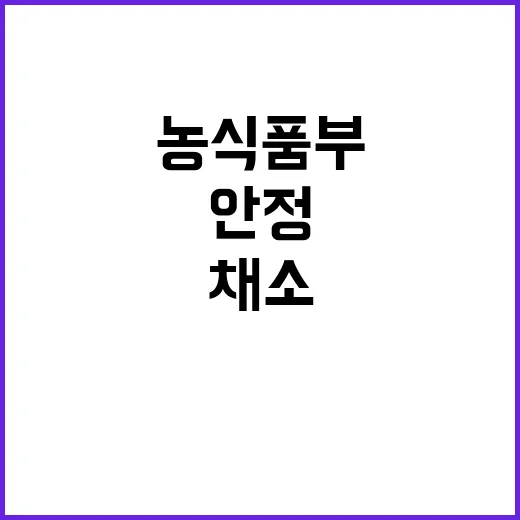 시설채소 안정 농식품부의 새로운 전망 공개!