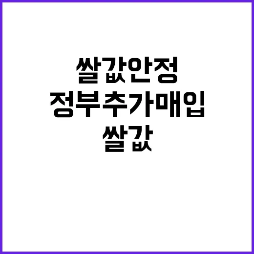 쌀값 안정 정부 추…