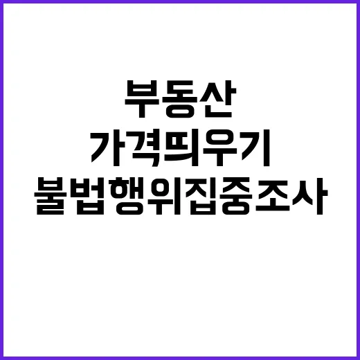 부동산 가격 띄우기…