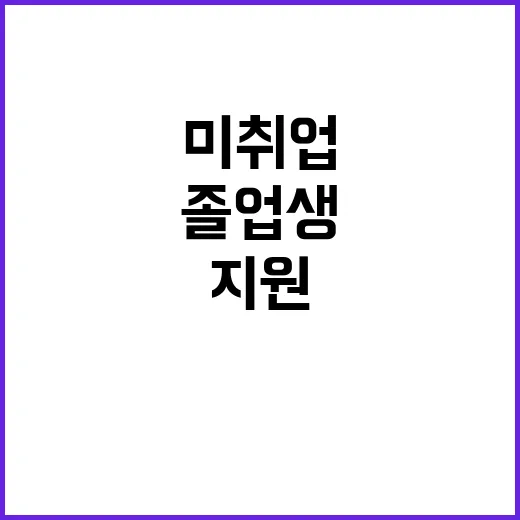 고용올케어 미취업 대학 졸업생 지원 서비스 시작!