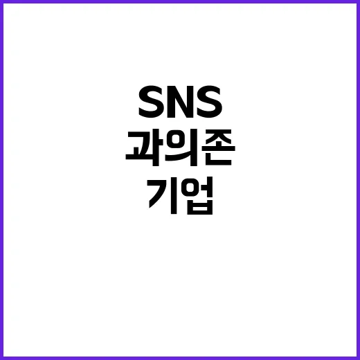 SNS 과의존 해소 기업 의견 수렴 움직임!