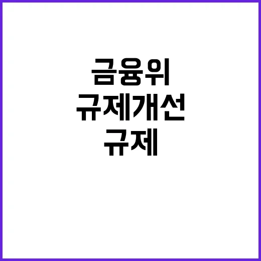 금융위 신용카드업 규제 개선 진실은 무엇인가?