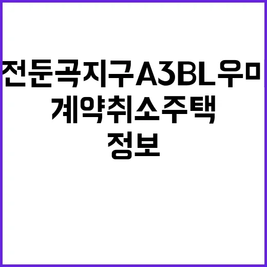 대전 둔곡지구 A3…