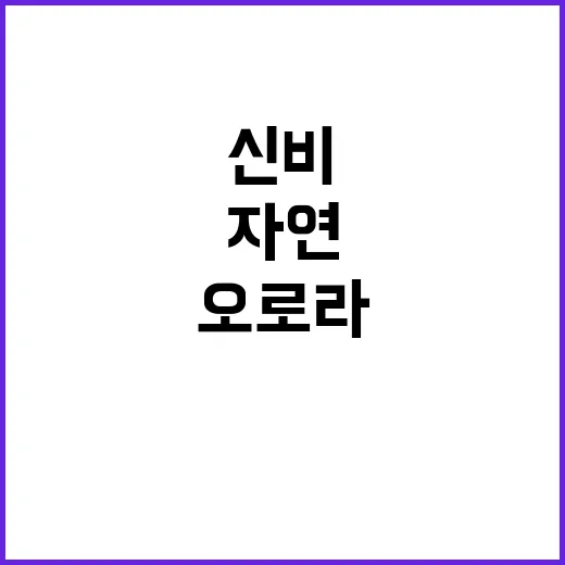 오로라