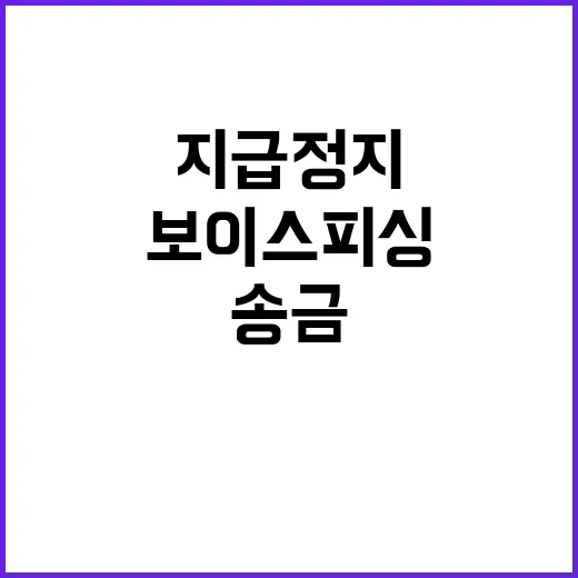 보이스피싱 간편송금…