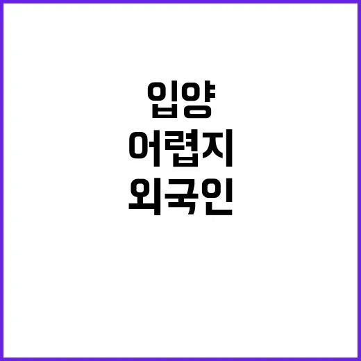 입양신청 개선 외국…