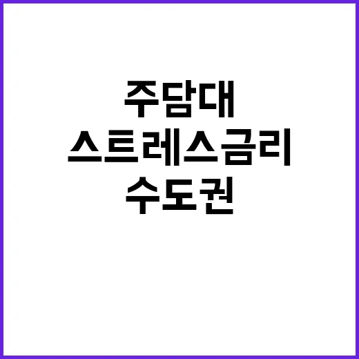 주담대 수도권에 더…