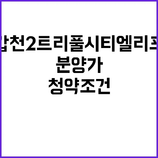 갑천2 트리풀시티 엘리프 청약 조건 분양가 알아보세요!