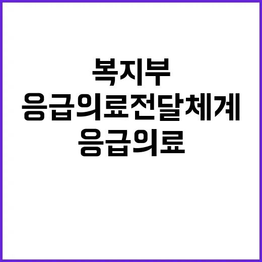 응급의료 전달체계 복지부의 다양한 정책 추진 중!