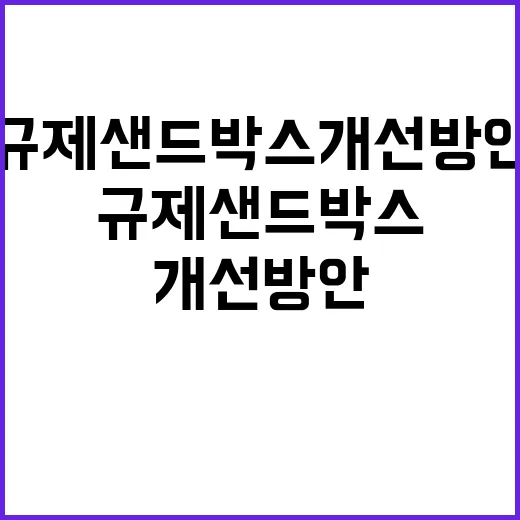 규제샌드박스 개선방…