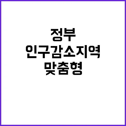 인구감소지역 정부 …